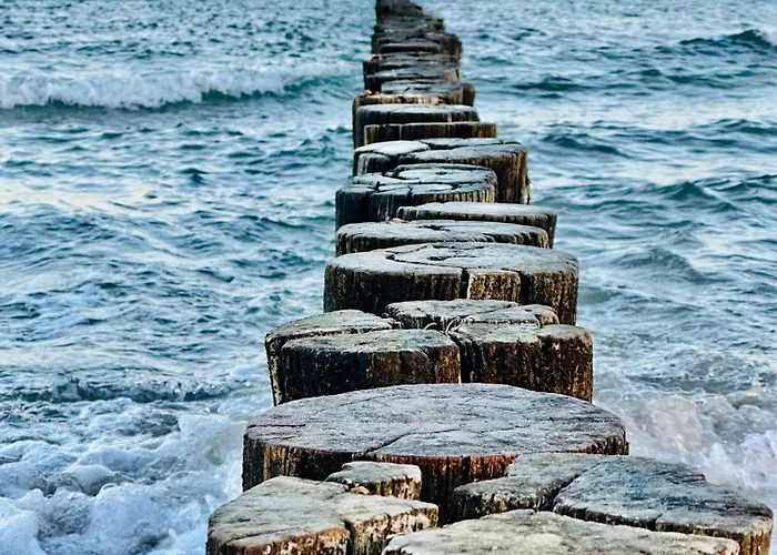 Kuestenfeuer זינקסט